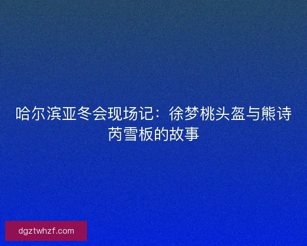 哈尔滨亚冬会现场记：徐梦桃头盔与熊诗芮雪板的故事