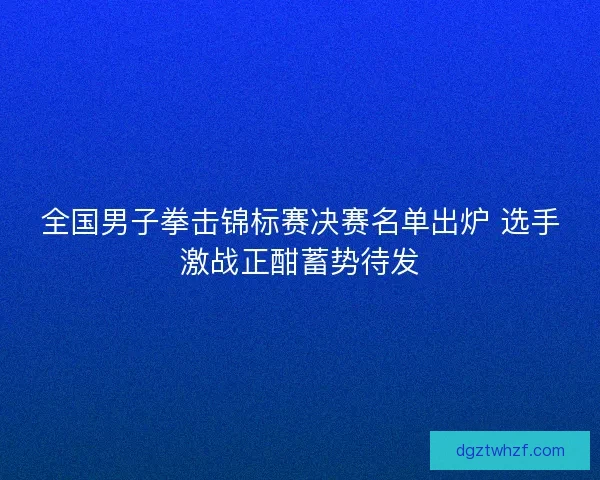 全国男子拳击锦标赛决赛名单出炉 选手激战正酣蓄势待发